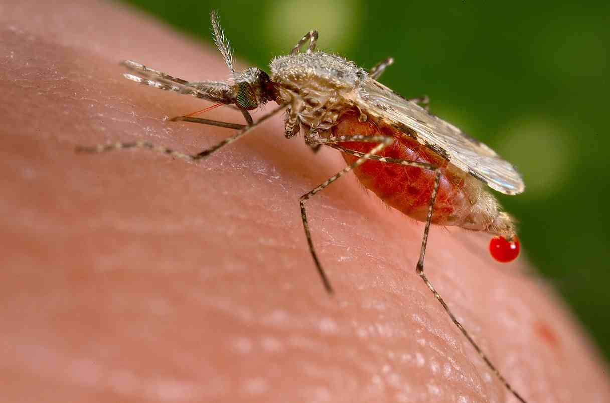 Malaria outbreak strains ailing health sector