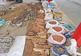 Call to modernise traditional medicines