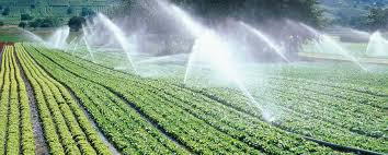 Farm mechanisation fails to boost irrigation production capacity