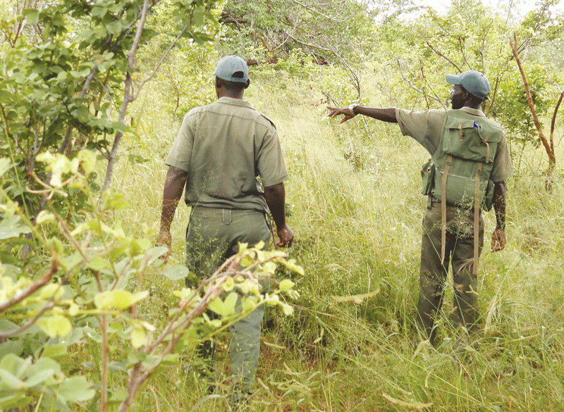Victoria Falls Safari Collection supports conservation through fundraiser