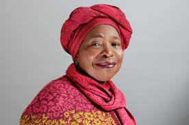 Museum entry should be free: Dlamini-Zuma