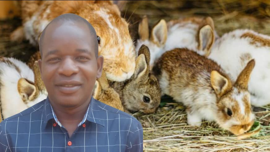 Zicorba to launch national rabbit breeders register