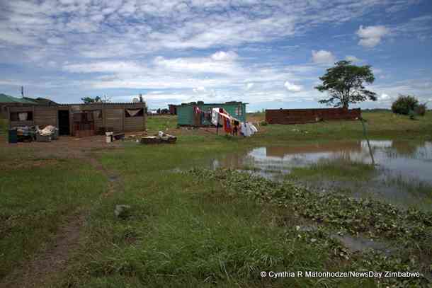 Senate wants moratorium on wetlands stand allocation