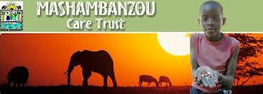 Mashambanzou to mark 35 years with fundraising open day