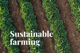 Over 100 farmers convene in Bulawayo for groundbreaking agroecology symposium