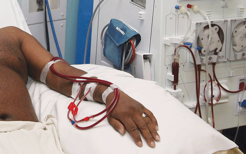 Health advocates push for local kidney transplant