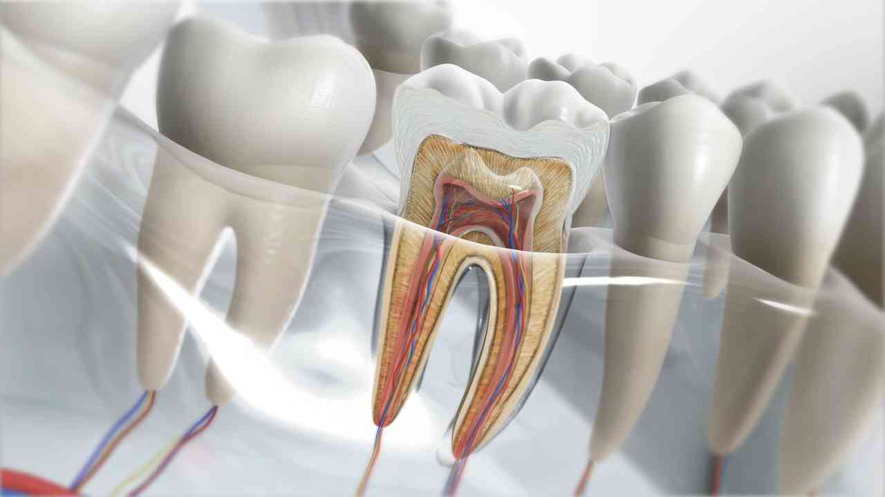 Demystifying the root canal: From the source of pain to the path of relief 