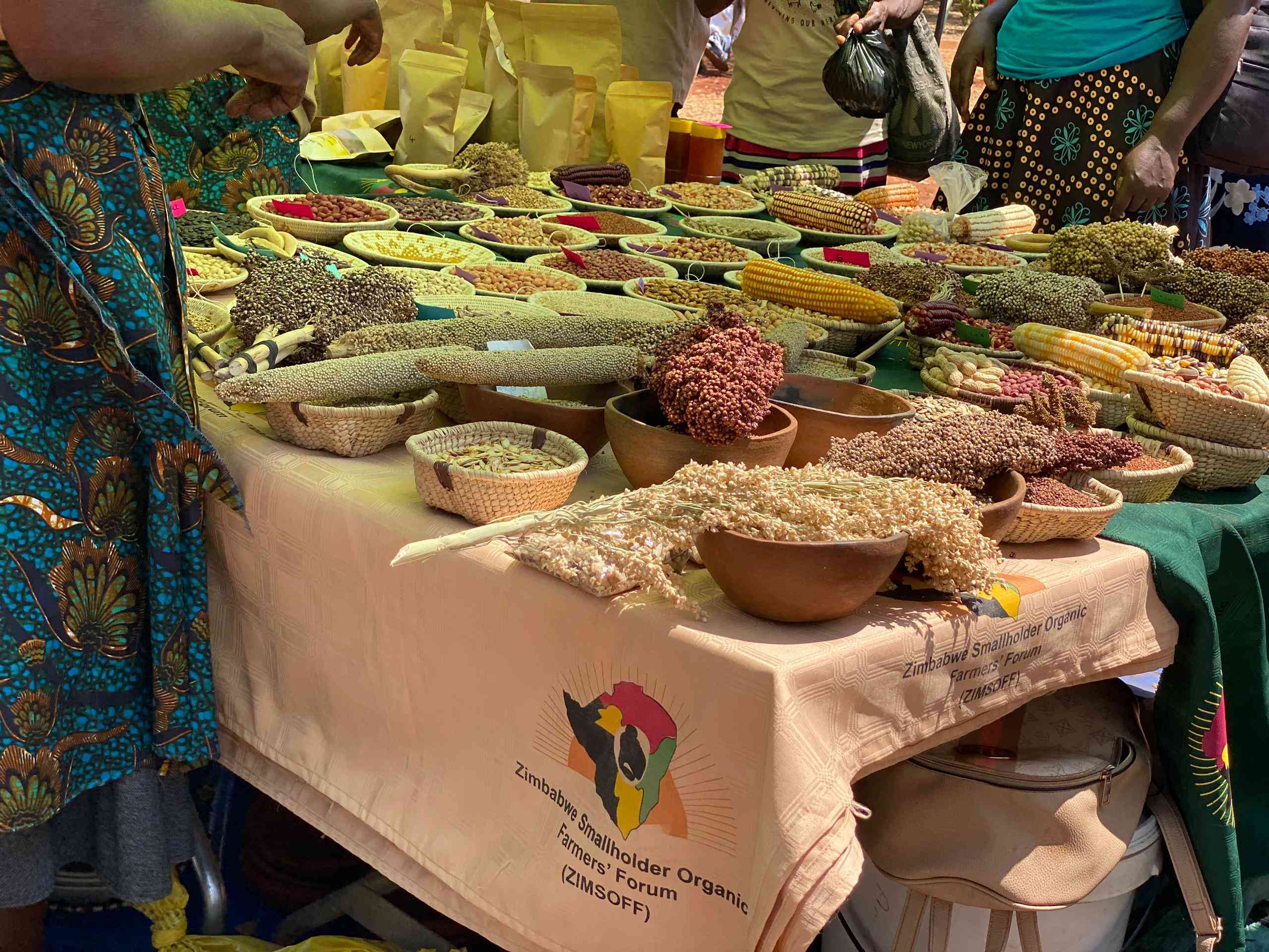 Smallholder farmers hailed for protecting seed heritage