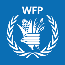 Zim experiences food security gains