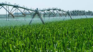 Treasury slashes farming, stockfeed fees in sweeping business reforms