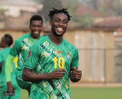 A war of words - Shereni backs Kadewere amid media storm