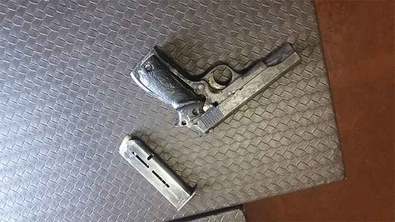 We cannot afford to be a gun State