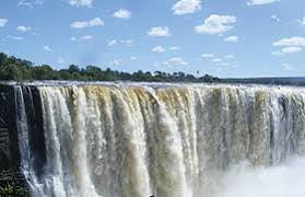 Black soldier flies drive conservation in Vic Falls