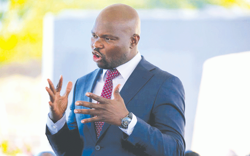 Youth idleness worrying: Machakaire