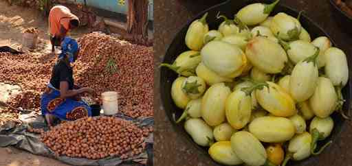 Using territorial markets to scale what is working in African food systems