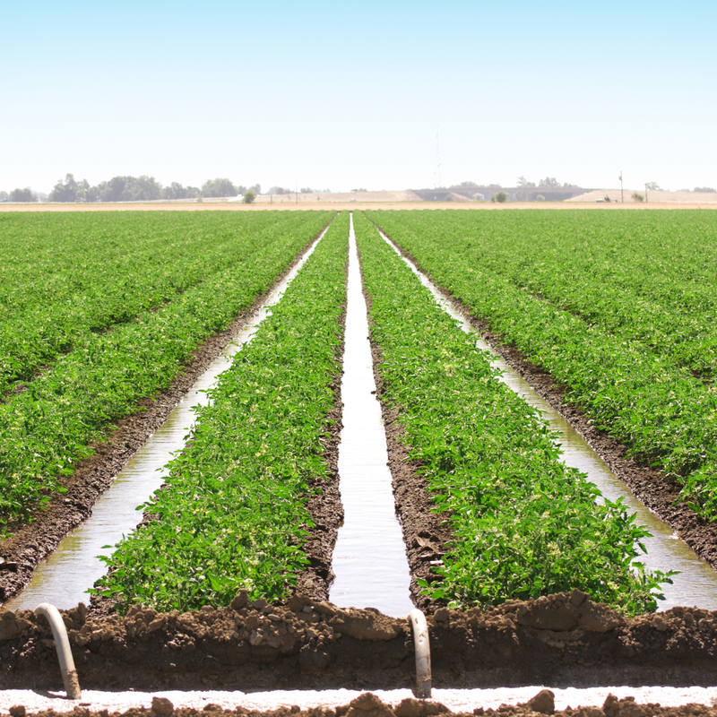 Irrigation schemes bring hope to villagers