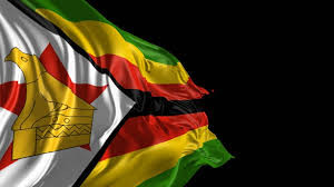 Government is everything that is wrong with Zimbabwe