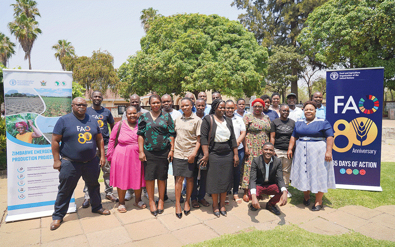 FAO, partners chart path to sustainability for Zimbabwe’s Emergency Food Production Project