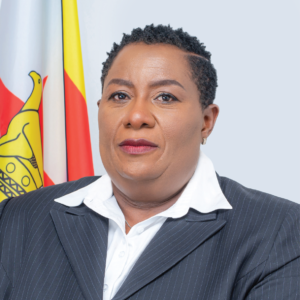 NPAZ achieves 75% case clearance rate