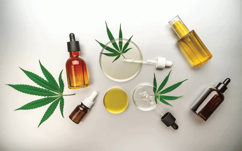 Cannabis boom in South Africa, Zimbabwe is good for wealthy investors, bad for small farmers