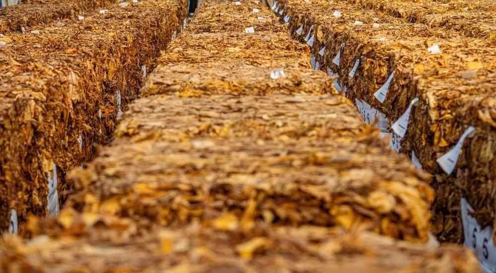 Zimbabwe-China tobacco expo opens new markets