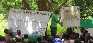 Kariba carbon project faces scrutiny