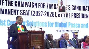 Zim officially launches campaign for UNSC seat