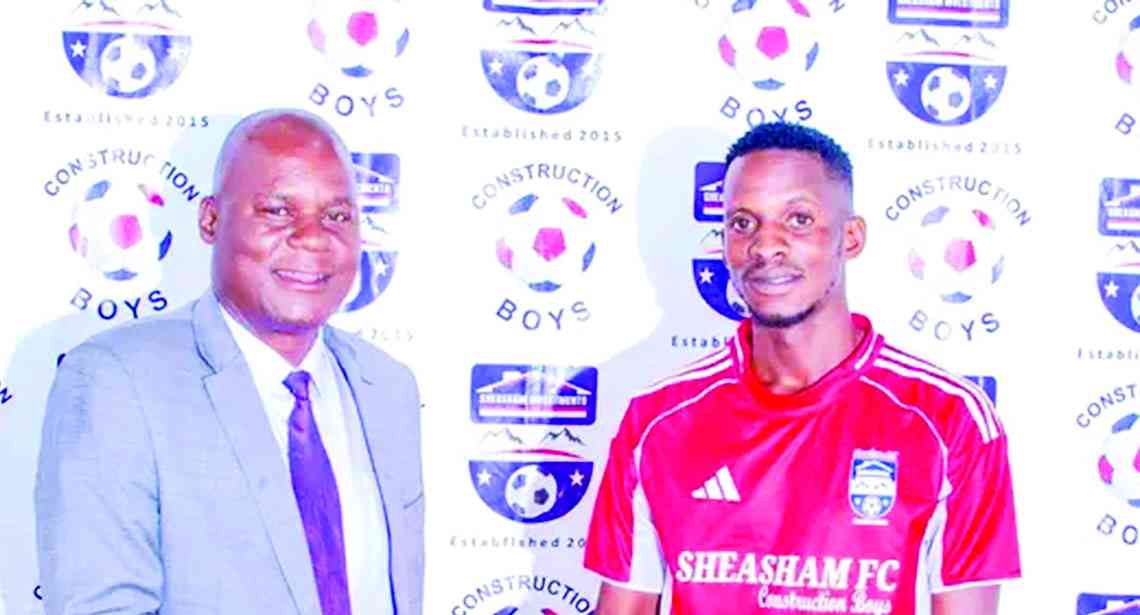 Sheasham bounce back... resume promotion chase
