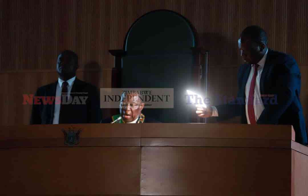 Senator tears into Mnangagwa’s Sona