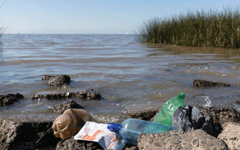 Pollution crisis: Zimbabwe’s struggle against negligent investors