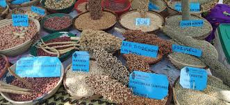 Zim’s agroecology sector emerging as high-potential investment frontier