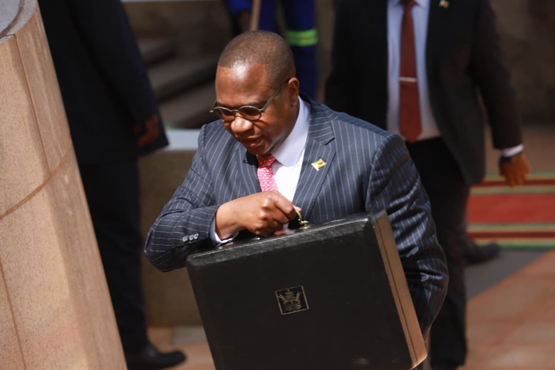 Government targets US$6,86bn investments under NDS 2