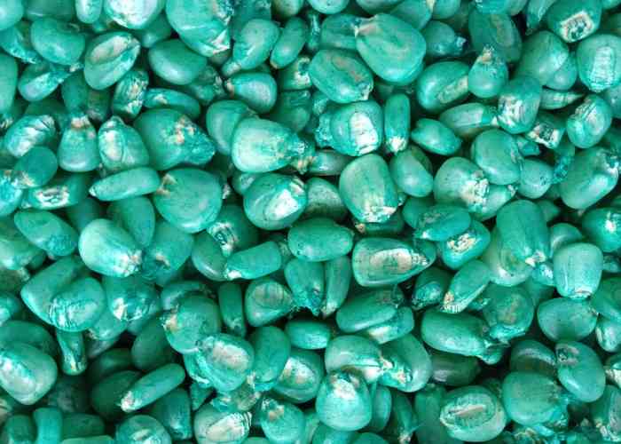 Police, producers declare war on counterfeit seed