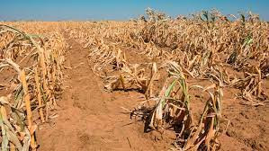 Zim blames drought for failing to meet SDG target