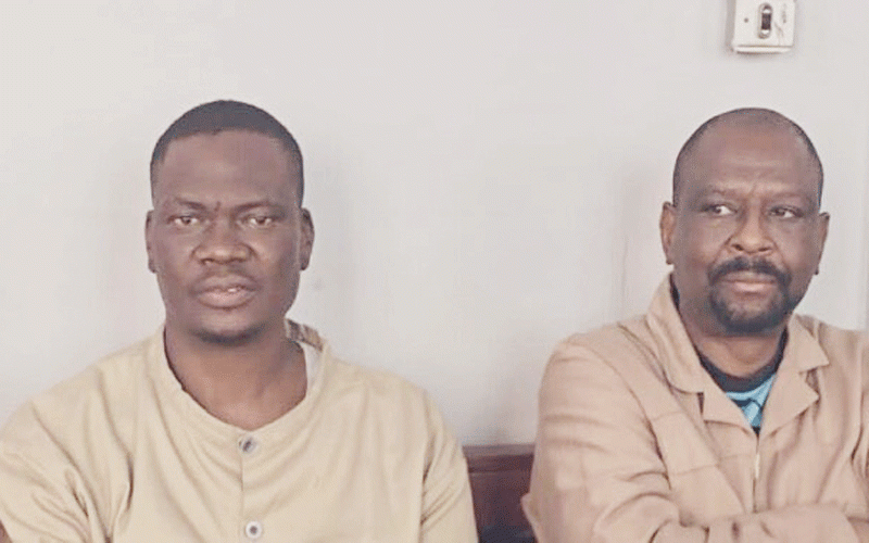 US$7,7m goat scandal: Chimombe, Mpofu in no show