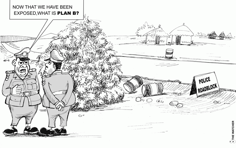 NewsDay cartoon November 25, 2025 edition