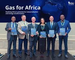 Zim projected to become natural gas powerhouse: Report