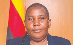 Govt sets ambitious rural electrification target