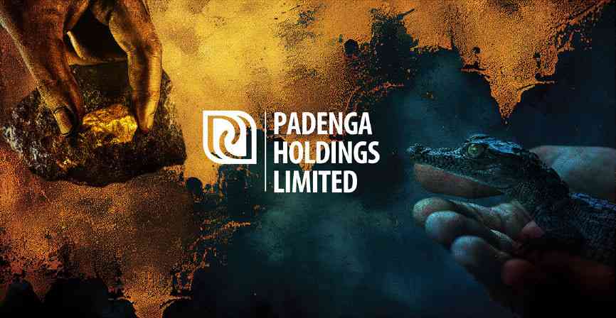 Padenga projects ‘robust performance’ amid gold price surge