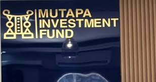 Mutapa pumps US$100m into State firms in turnaround drive