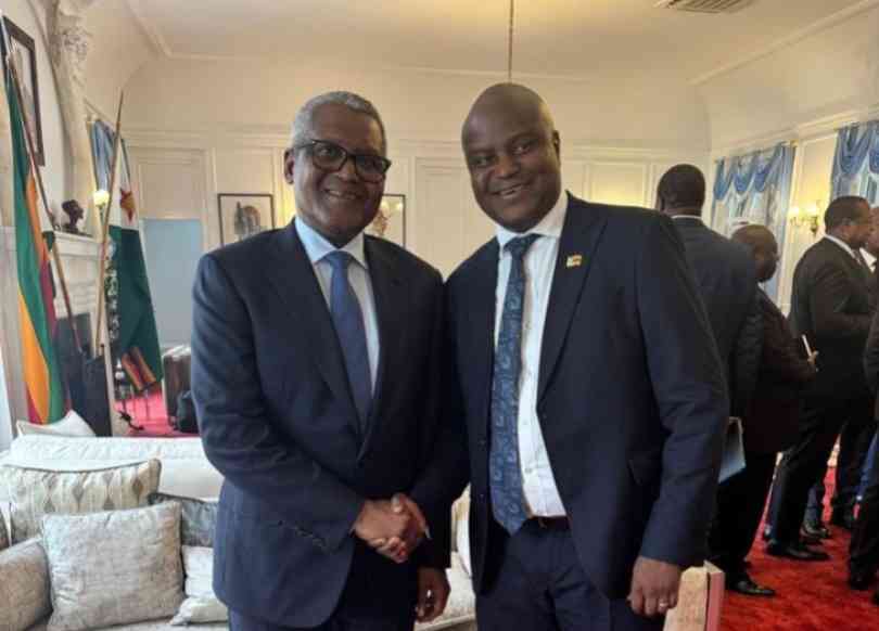 Bard Santner Inc: A year of resilience and growth 