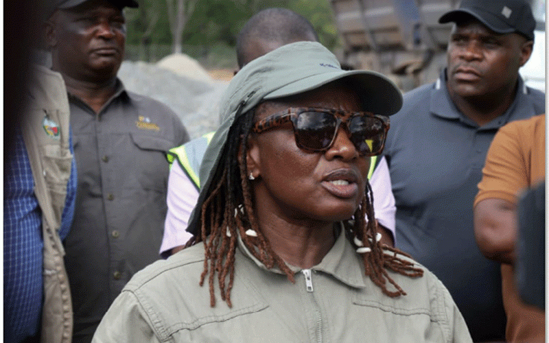 Government courts private capital to rebuild vital road network