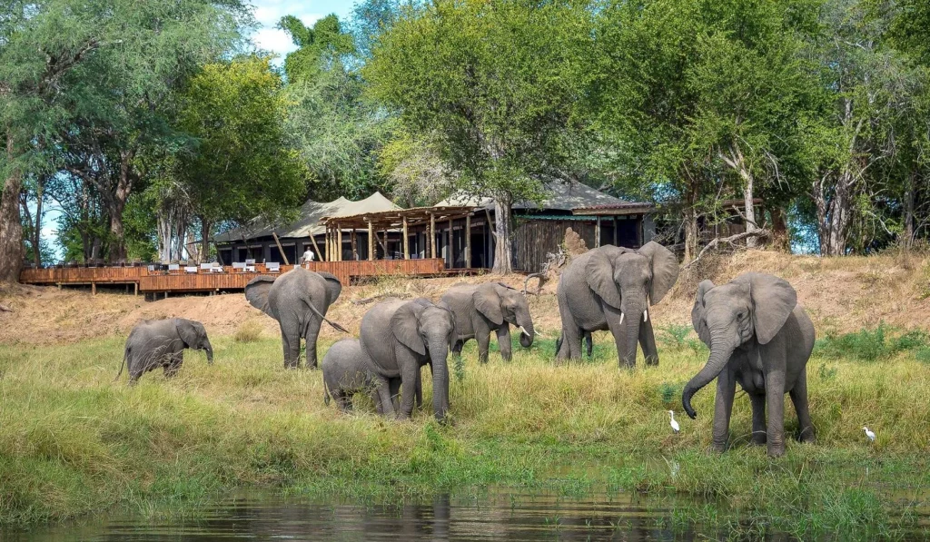 2 face theft charges at safari camp