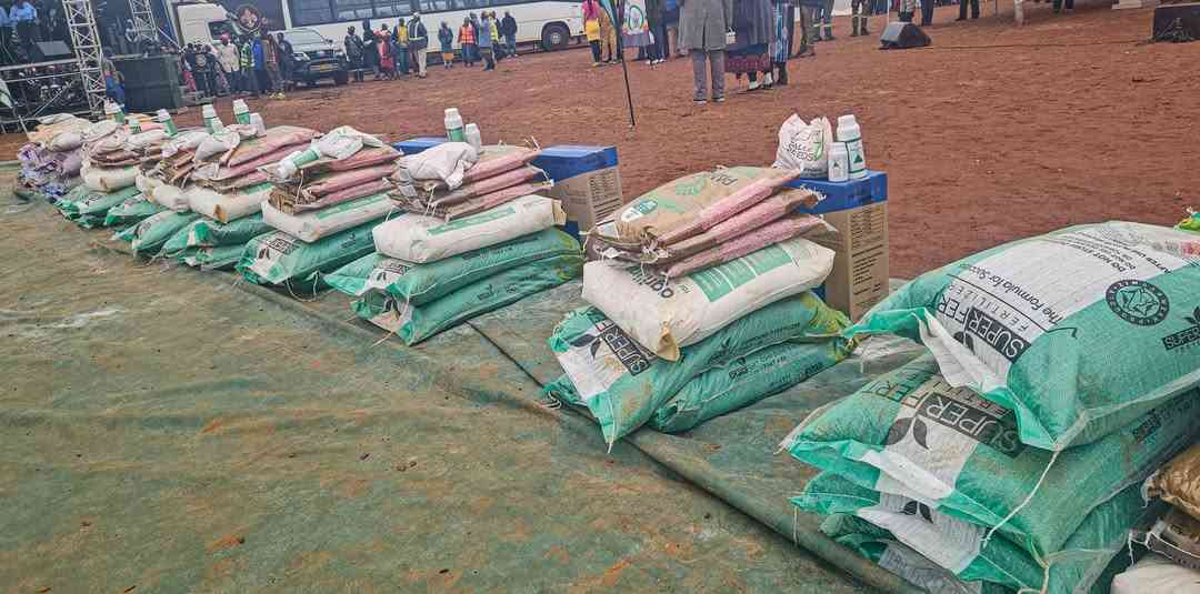 NACAZ witnesses nail accused in presidential fertiliser scandal 