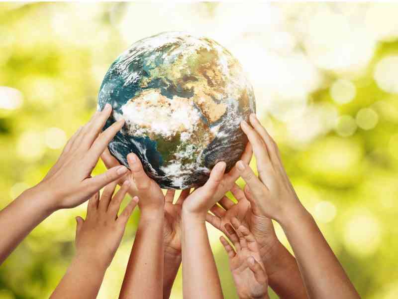 Environmental accountability: Reframing the debate on Chinese companies in Zim