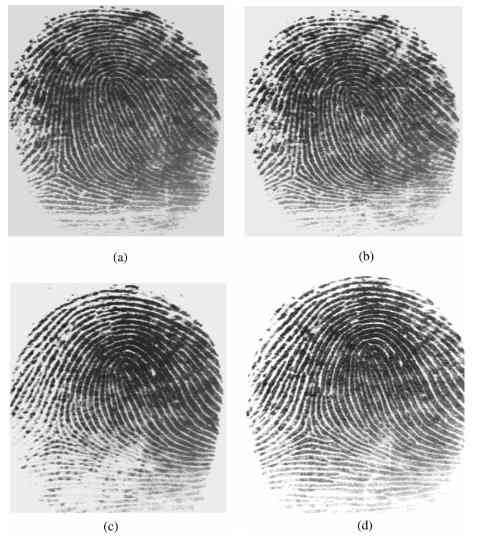 Beyond the herd: Rising above conformity