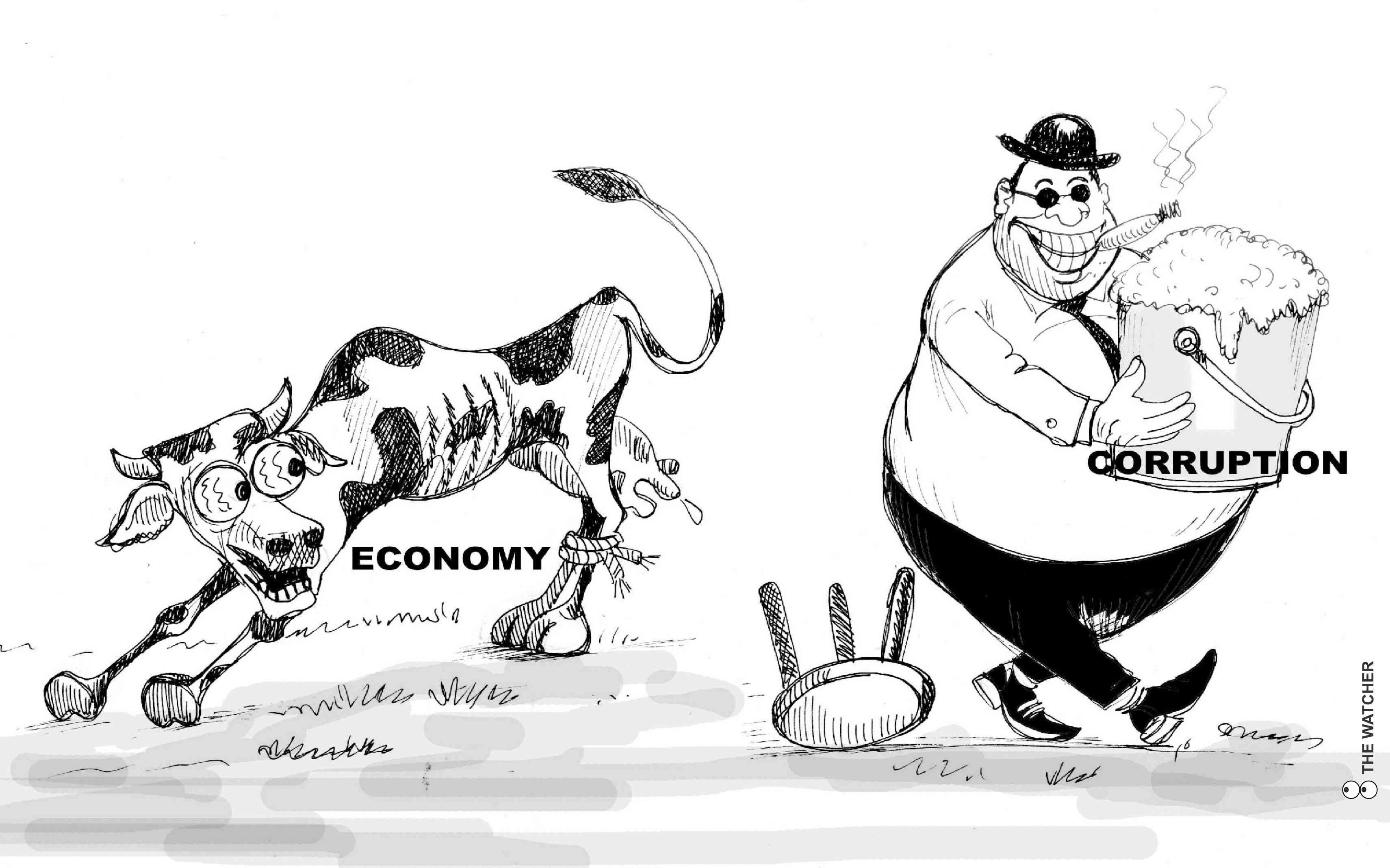 NewsDay cartoon 30 December, 2025 edition