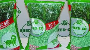 Seed Co International narrows loss on cost cuts