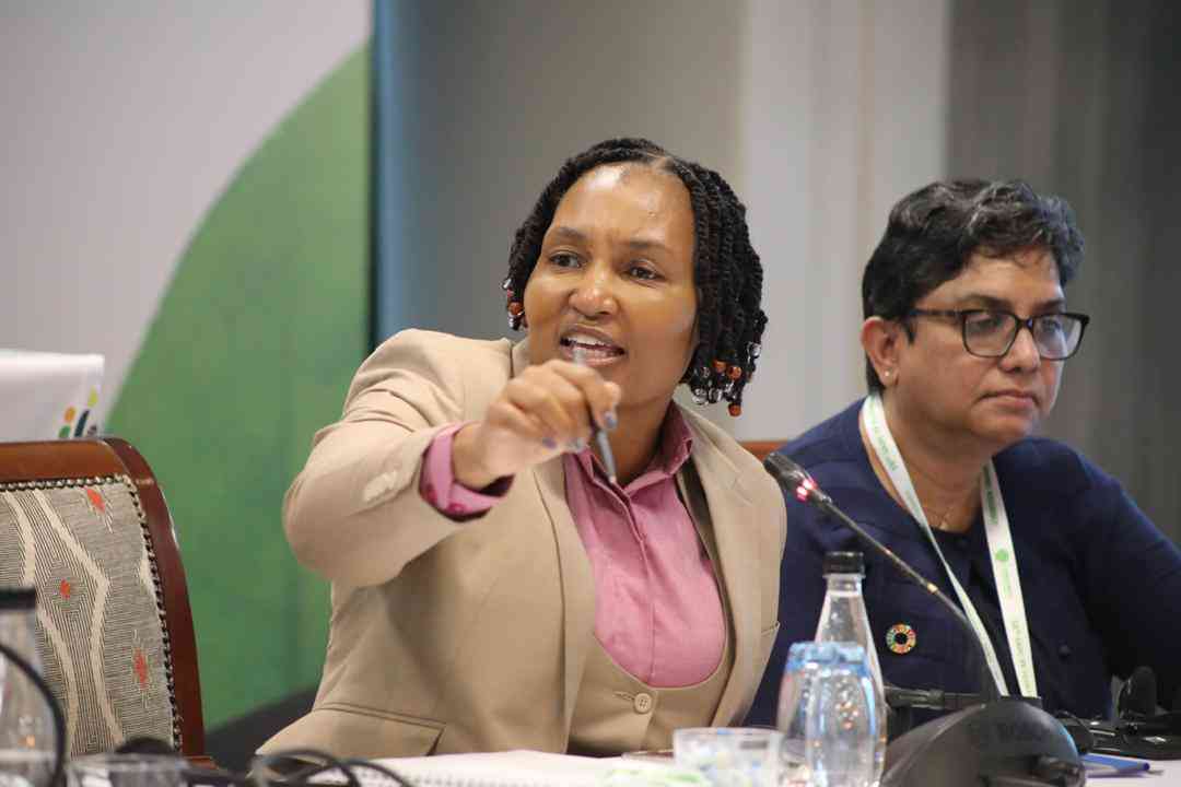 Escalating climate threats: South Africa’s Minister advocates for unified Parliamentary action