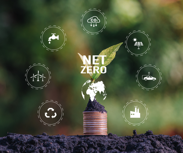 Go low-carbon or lose export edge, Zim firms told